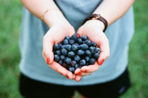 andrew-welch-116539-unsplash Donation to Civic Action