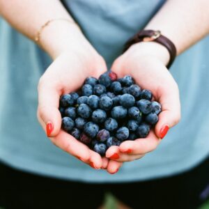 andrew-welch-116539-unsplash Donation to Civic Action