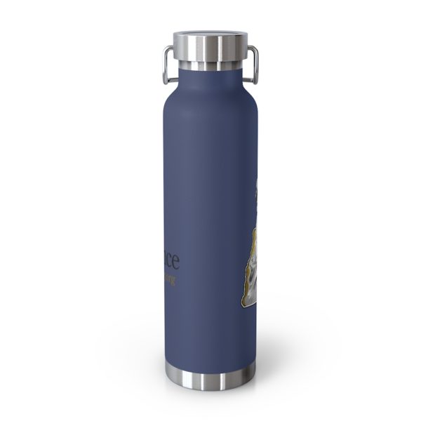 22oz Vacuum Insulated Bottle - Image 11